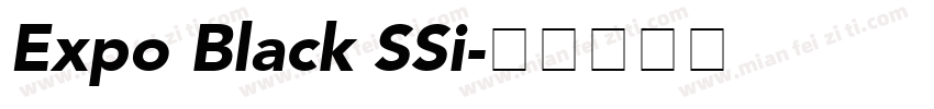 Expo Black SSi字体转换